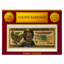 $20 Dollar United States of America Golden Banknote