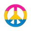 Pansexual Peace Logo Flag Pin Badge