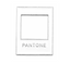 Pantone Image Frame Pin Badge
