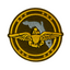 Florida Air National Guard (FLANG) Iron On Patch (8 x 8cm)