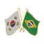 Enamel pin badge featuring the flags of South Korea and Brazil with a butterfly clutch backing.