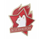 Soviet Young Pioneer Everything for the Cats! USSR Pin Badge
