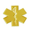 Yellow Medical Ambulance Star Pin Badge