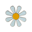 A daisy flower pin badge with a brass plated iron and hard enamel finish. © Tigoli® 2026 All Rights Reserved Panda Loco Ltd