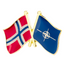 Norway & NATO Friendship Pin Badge