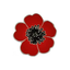 A red poppy flower pin badge with a black center and butterfly clutch backing. © Tigoli® 2026 All Rights Reserved Panda Loco Ltd