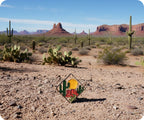 Arizona Dessert Pin Badge
