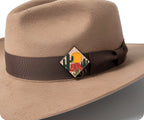 Arizona Dessert Pin Badge