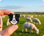 Border Collie Dog Pin Badge