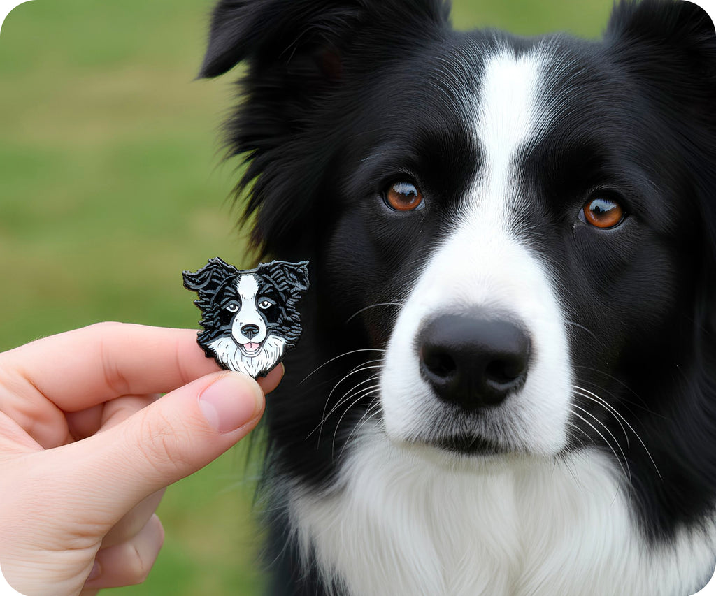 Border Collie Dog Pin Badge