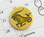 Capricorn Zodiac Sign Pin Badge