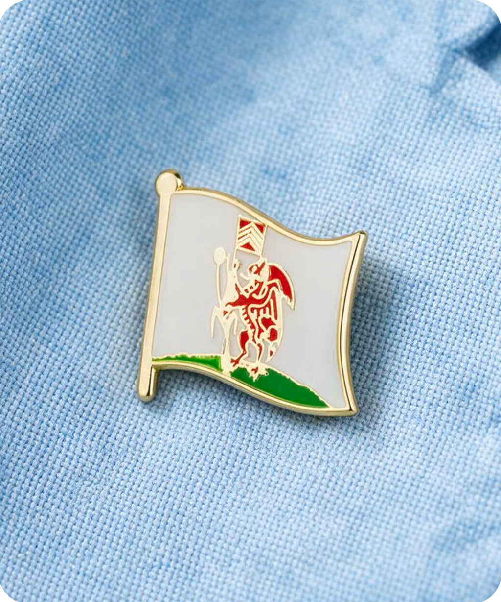 Cardiff Flag Enamel Pin Badge