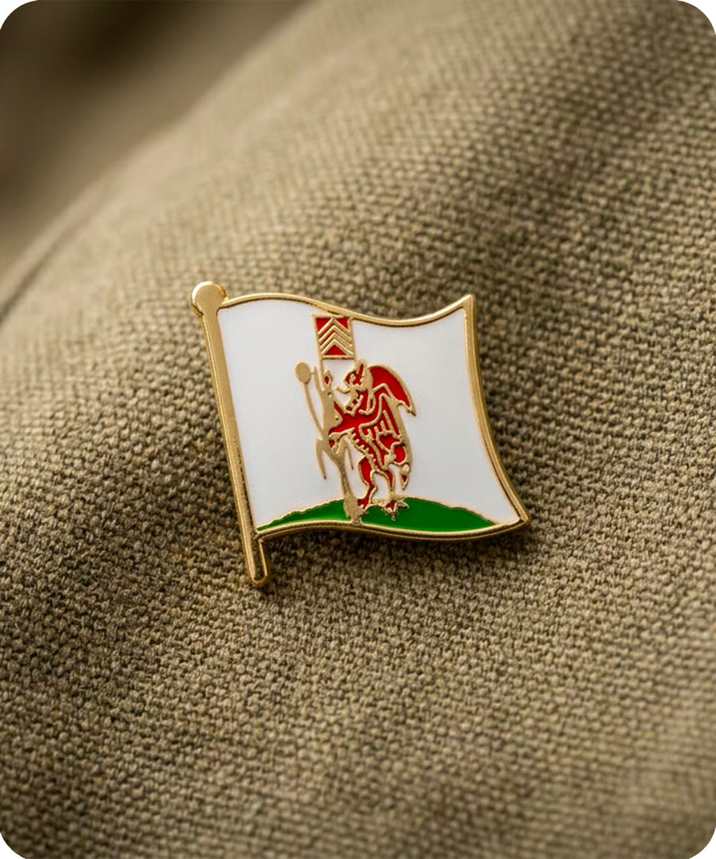 Cardiff Flag Enamel Pin Badge