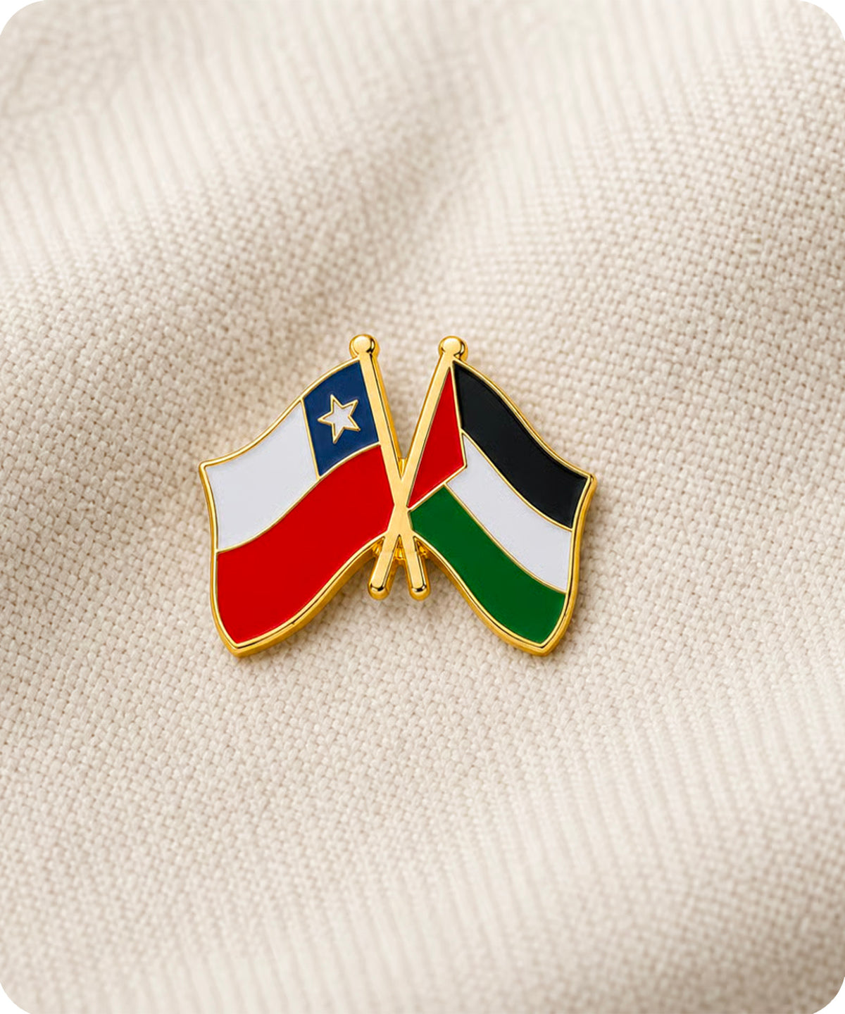 Chile Palestine Friendship Enamel Lapel Pin Badge