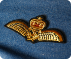 Gold Crown With Wings Military Naval Iron On Patch (7.5 x 4cm)
