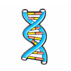 DNA Double Helix Enamel Pin Badge