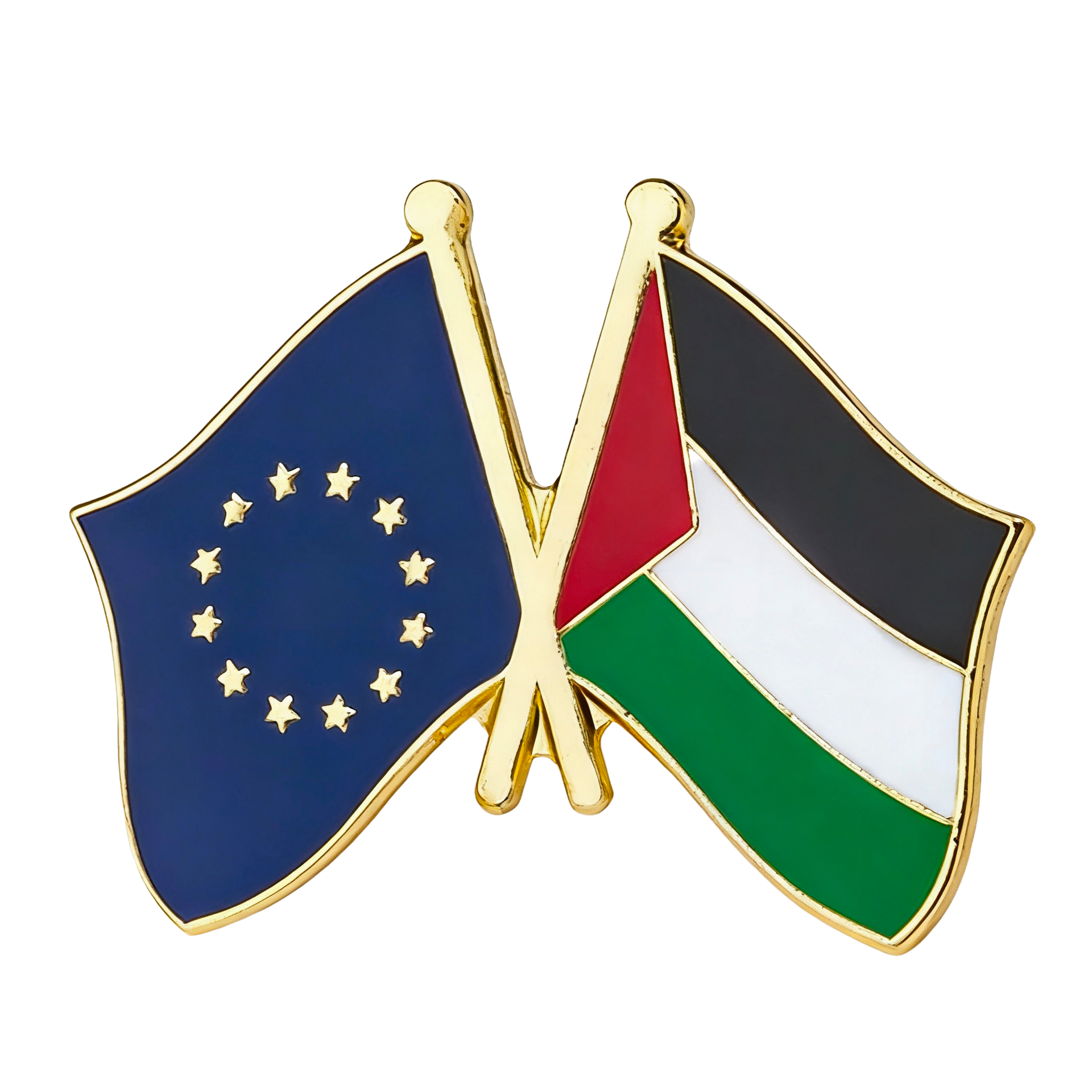 Pin de amistad entre la Unión Europea y Palestina Imagen principal del producto