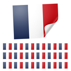 20 X France Flag Stickers