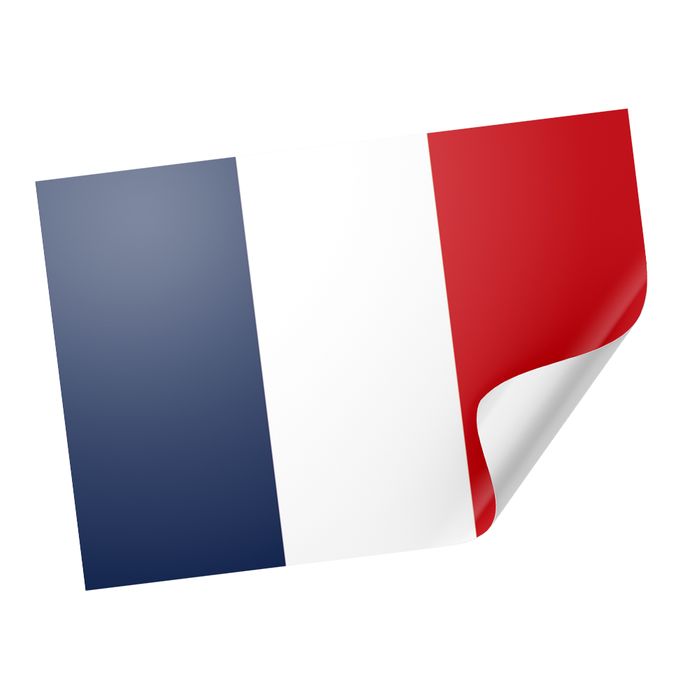 20 X France Flag Stickers
