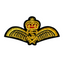 Gold Crown With Wings Military Naval Iron On Patch (7.5 x 4cm)