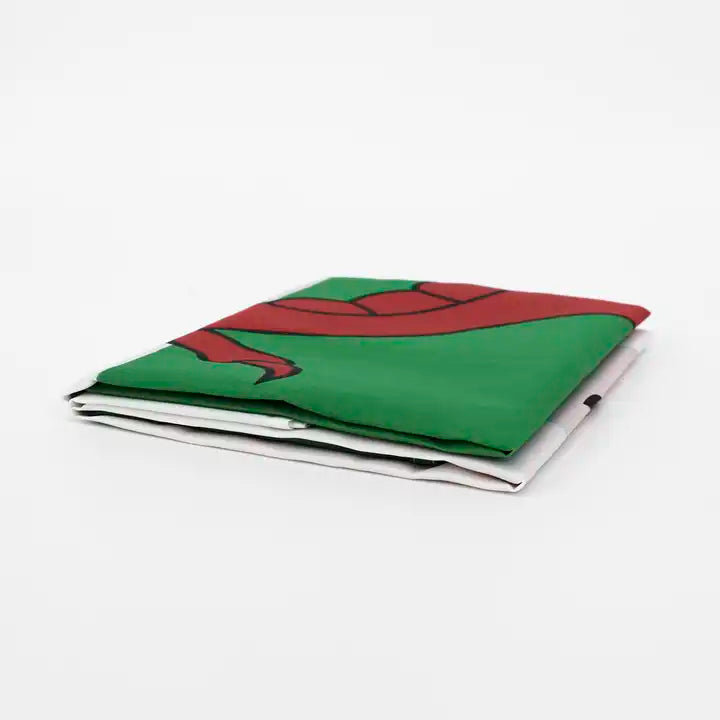 3' x 5' Wales Flag