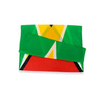 3' x 5' Guyana Flag