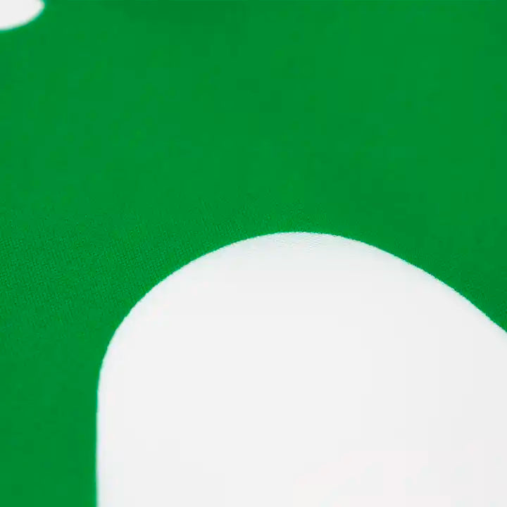 3' x 5' Lebanon Flag