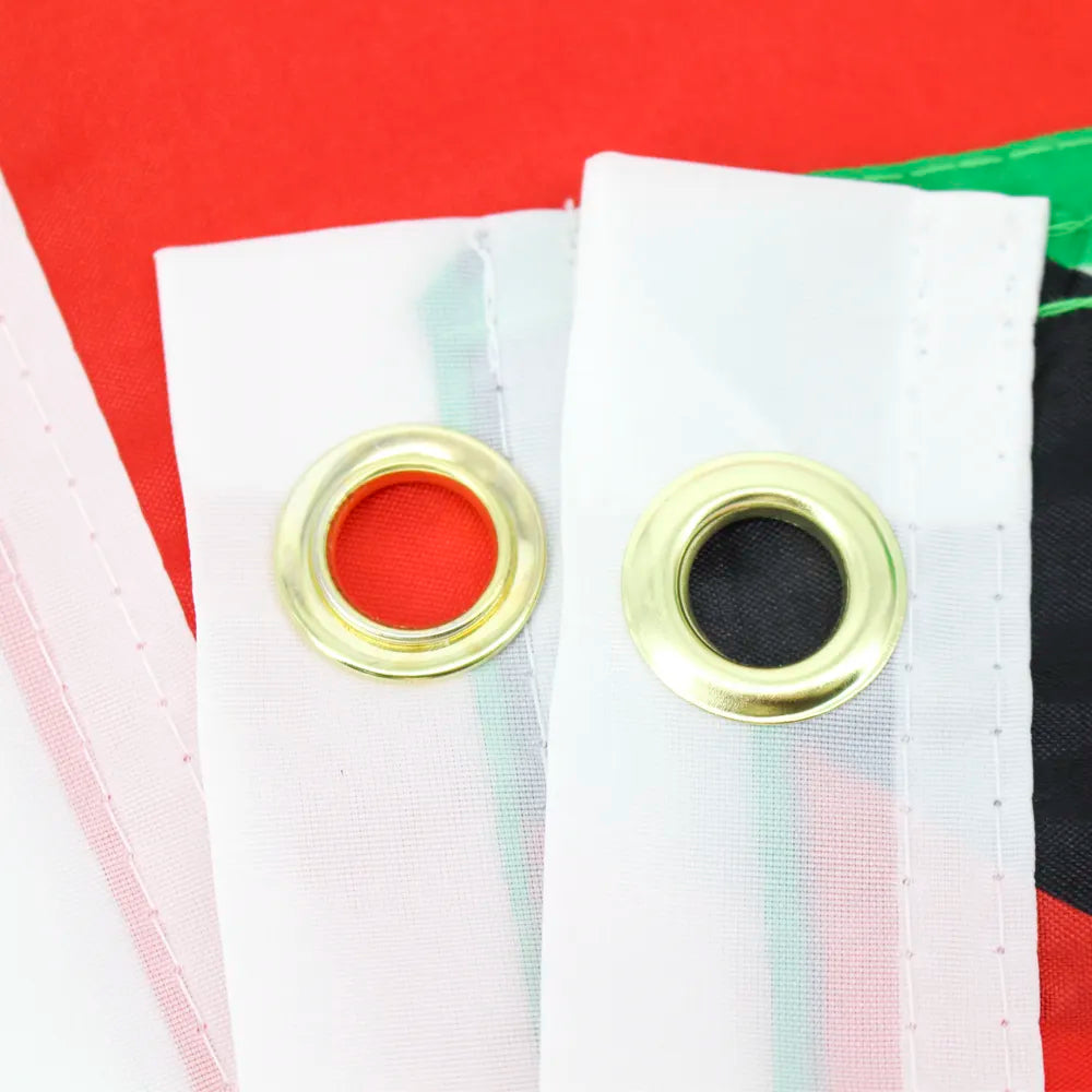 3' x 5' Guyana Flag