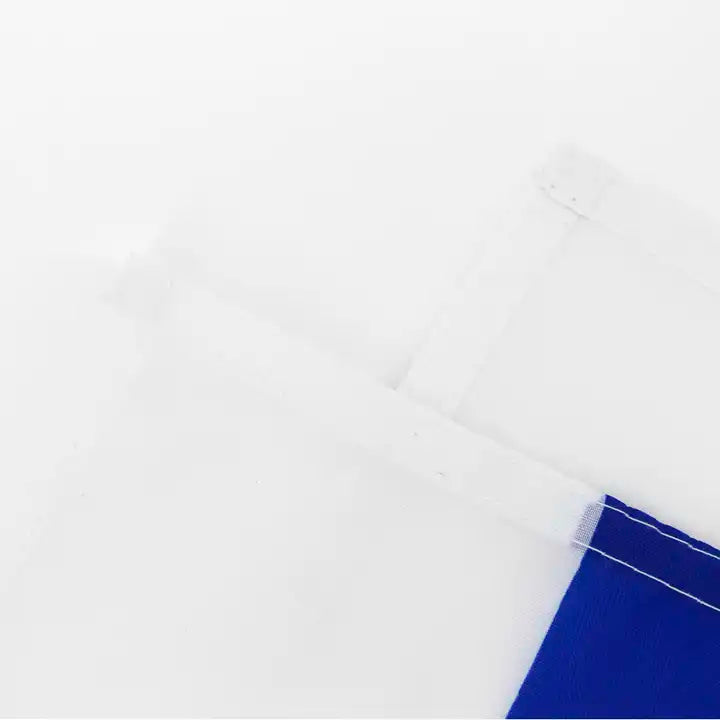 3' x 5' Israel Flag