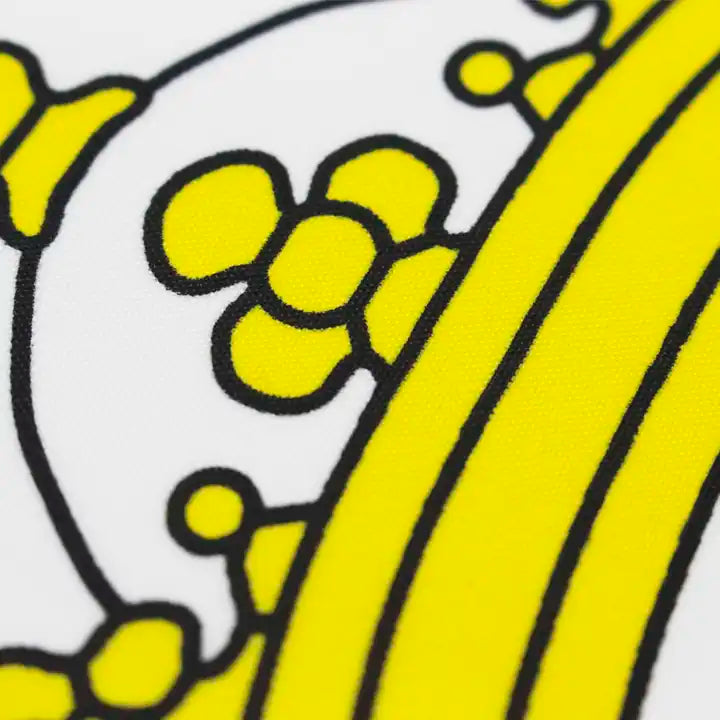 3' x 5' Vatican Flag