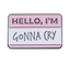 Hello, I'm Gonna Cry Pin Badge