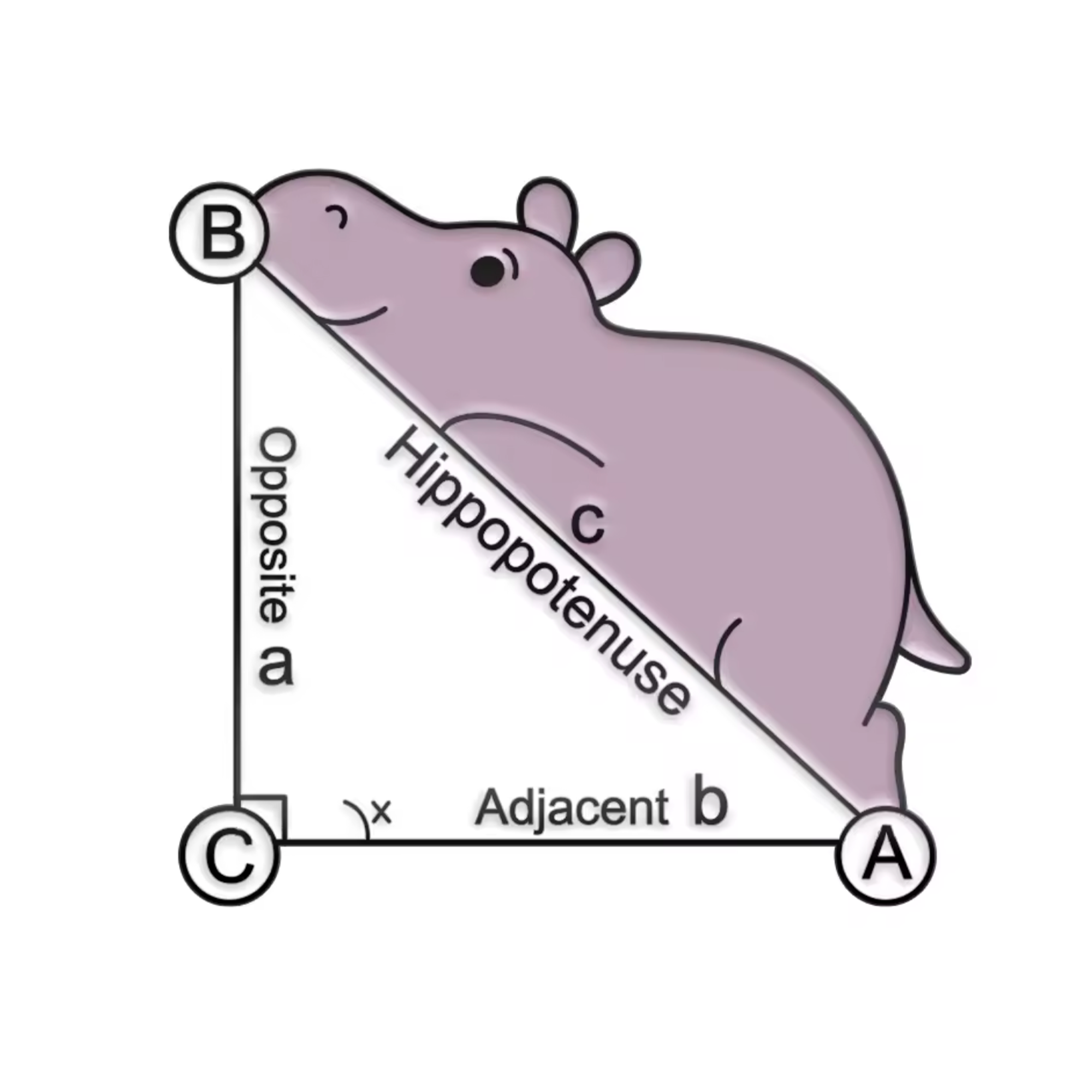 Insignia de matemáticas Hipopotenusa Imagen principal del producto