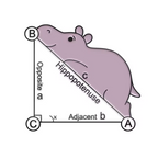 Hippopototenuse Math Pin Badge