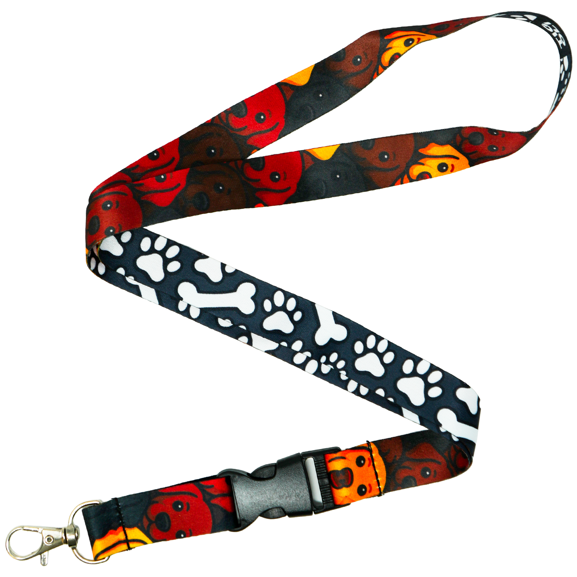 Cordón para cachorro de perro labrador