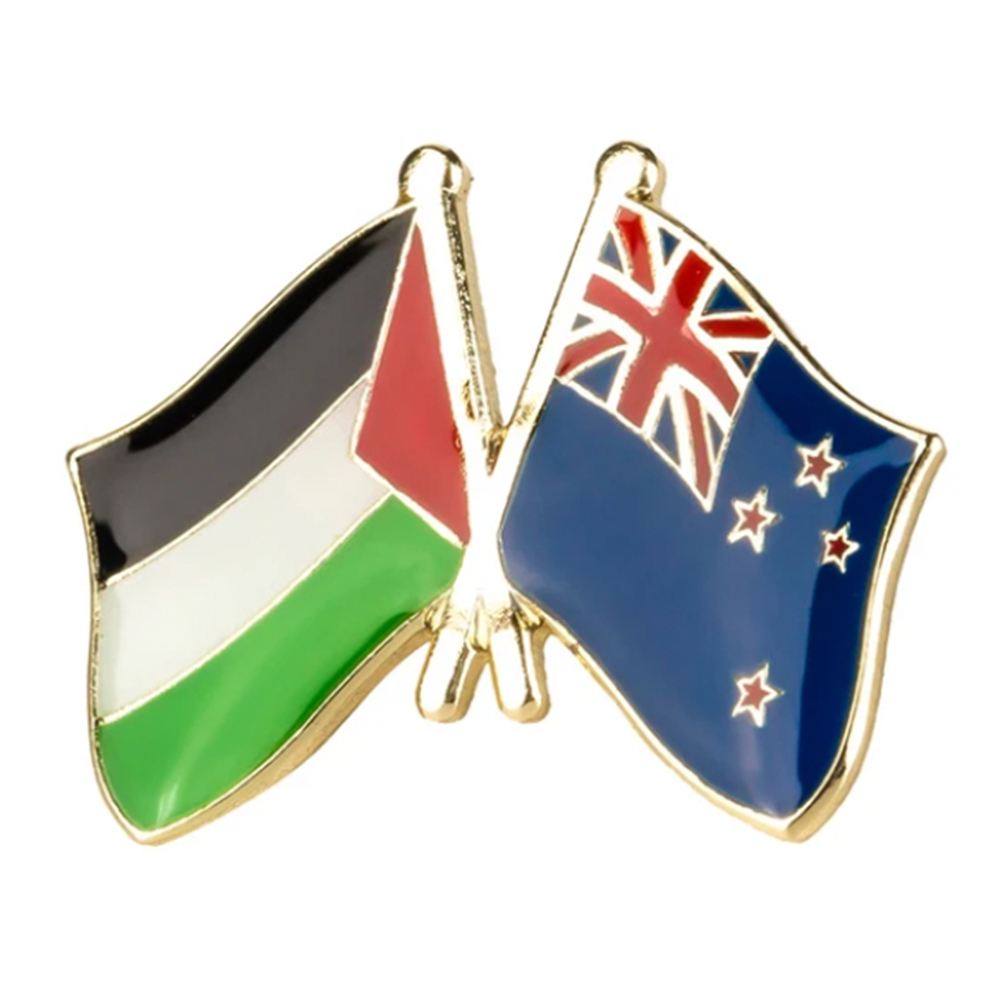 Pin de la amistad entre Palestina y Nueva Zelanda Imagen principal del producto
