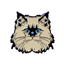 Persian Cat Pin Badge