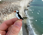 Puffin Bird Pin Badge