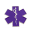 Purple Medical Ambulance Star Pin Badge