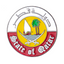 State Of Qatar Emblem Round Pin Badge