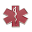 Red Medical Ambulance Star Pin Badge