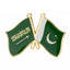 Saudi Arabia & Pakistan Friendship Pin Badge