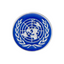 United Nations Button Silver Diplomat Pin Badge