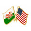 Wales & USA Friendship Flag Enamel Pin Badge