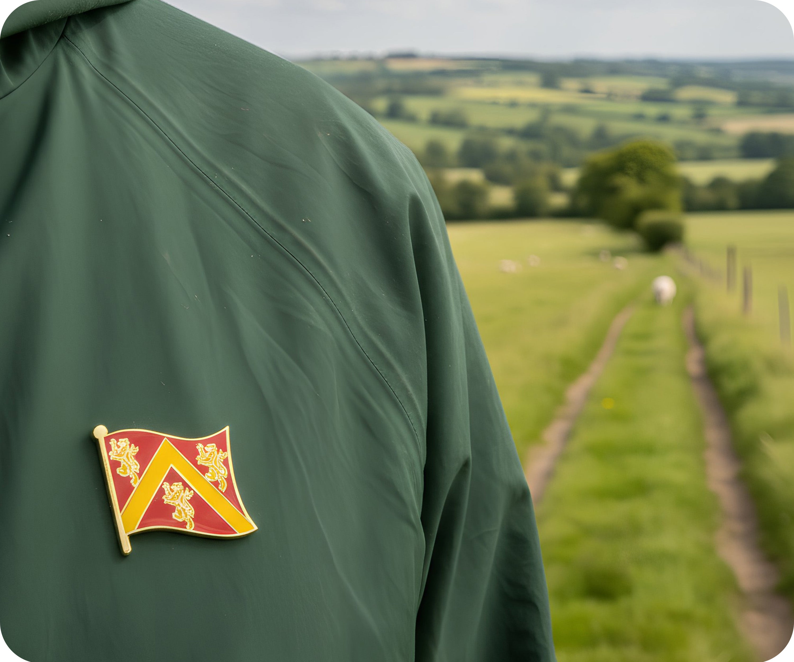 Anglesey Medieval Pin Badge