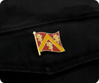 Anglesey Medieval Pin Badge