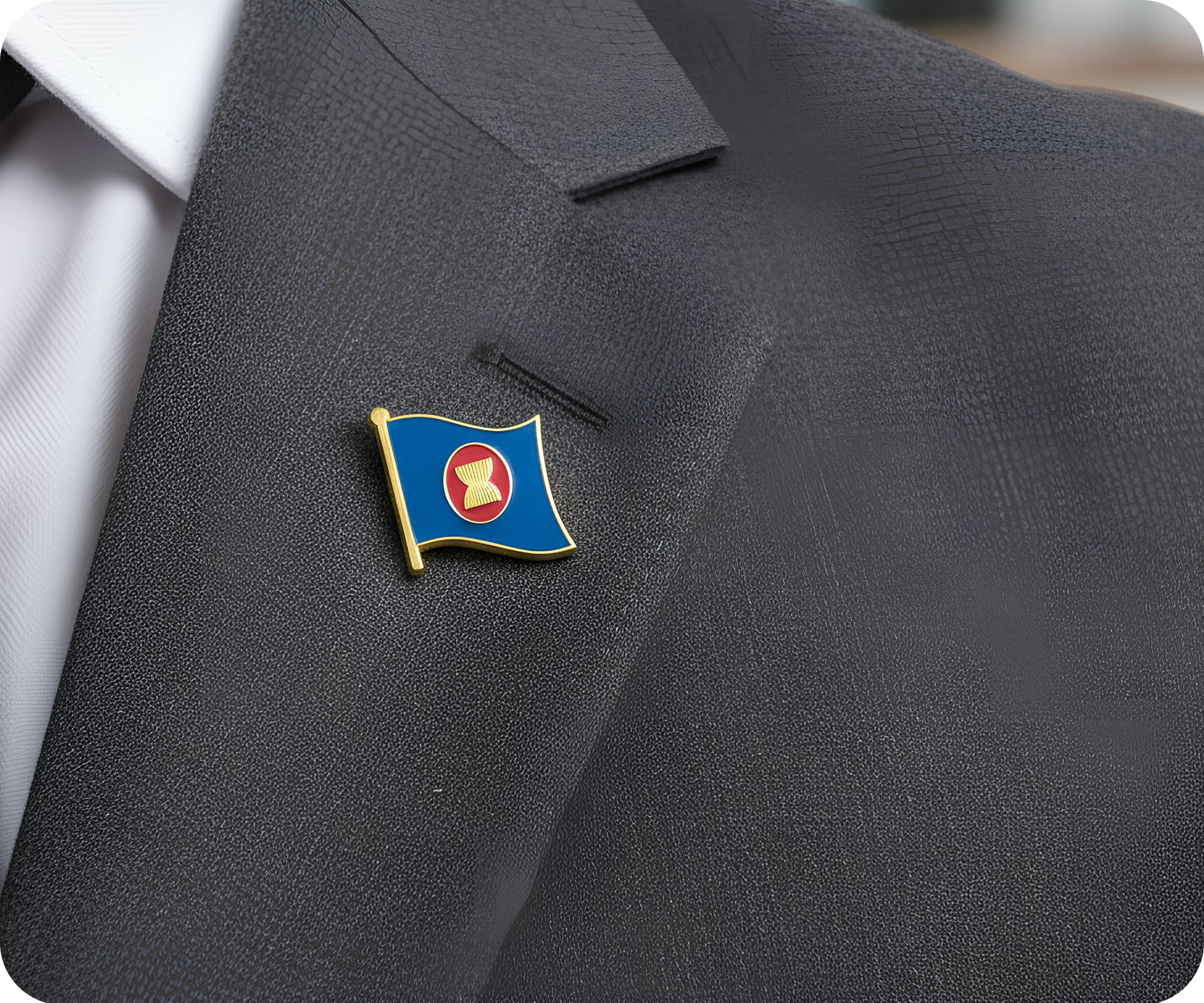 The Association of Southeast Asian Nations (ASEAN)  Pin Badge