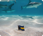 Bahamas Flag Pin Badge