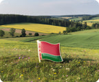 Belarus Flag Pin Badge