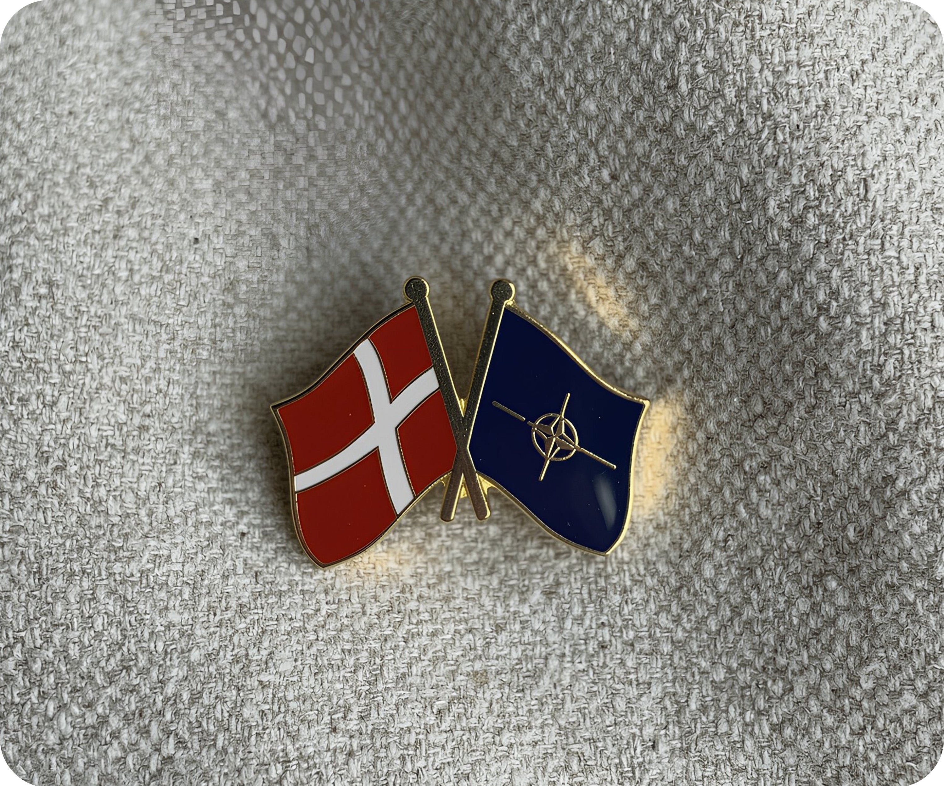 Denmark & NATO Friendship Pin Badge
