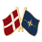 Denmark & NATO Friendship Pin Badge